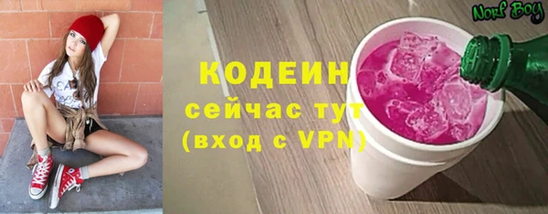 дурь Осташков