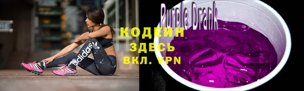 дурь Осташков