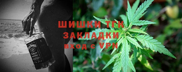 бошки Осинники