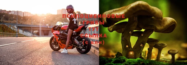 дурь Осташков