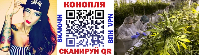 omg маркетплейс  Зубцов  это клад  Марихуана гибрид 